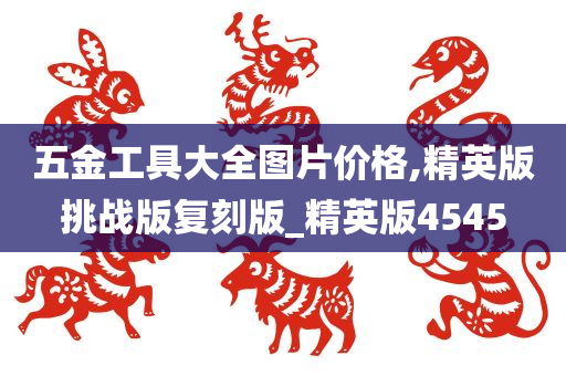 五金工具大全图片价格,精英版挑战版复刻版_精英版4545