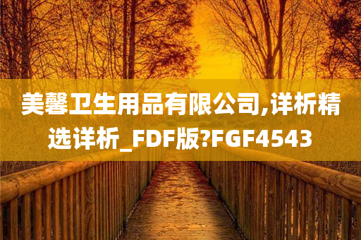 美馨卫生用品有限公司,详析精选详析_FDF版?FGF4543