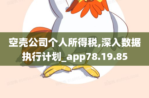 空壳公司个人所得税,深入数据执行计划_app78.19.85