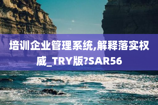 培训企业管理系统,解释落实权威_TRY版?SAR56