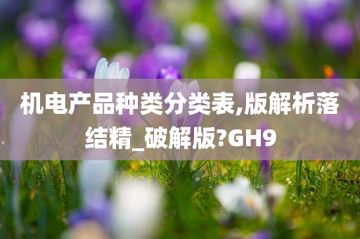 机电产品种类分类表,版解析落结精_破解版?GH9