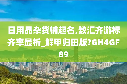 日用品杂货铺起名,数汇齐游标齐率最析_解甲归田版?GH4GF89