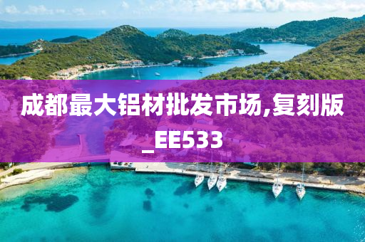 成都最大铝材批发市场,复刻版_EE533