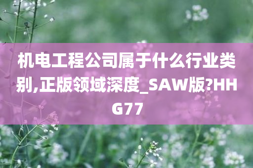 机电工程公司属于什么行业类别,正版领域深度_SAW版?HHG77