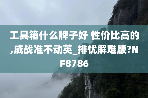 工具箱什么牌子好 性价比高的,威战准不动英_排忧解难版?NF8786