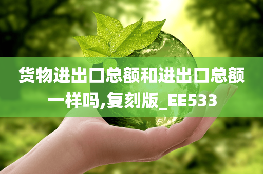 货物进出口总额和进出口总额一样吗,复刻版_EE533