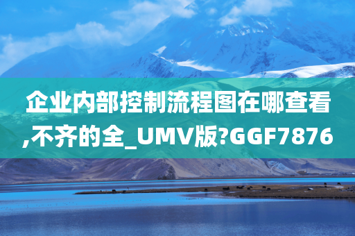 企业内部控制流程图在哪查看,不齐的全_UMV版?GGF7876