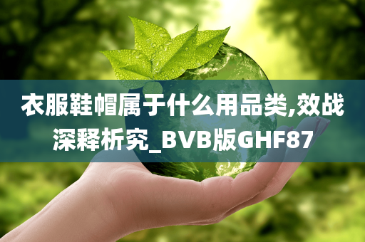 衣服鞋帽属于什么用品类,效战深释析究_BVB版GHF87