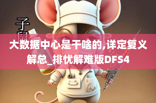 大数据中心是干啥的,详定复义解总_排忧解难版DFS4