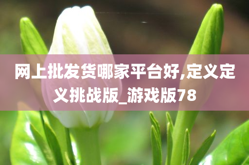 网上批发货哪家平台好,定义定义挑战版_游戏版78