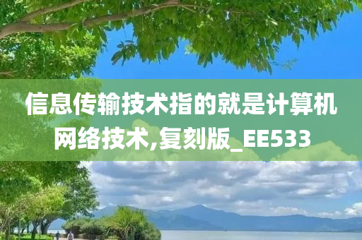 信息传输技术指的就是计算机网络技术,复刻版_EE533