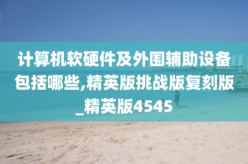 计算机软硬件及外围辅助设备包括哪些,精英版挑战版复刻版_精英版4545