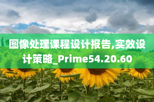 图像处理课程设计报告,实效设计策略_Prime54.20.60