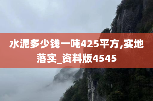 水泥多少钱一吨425平方,实地落实_资料版4545