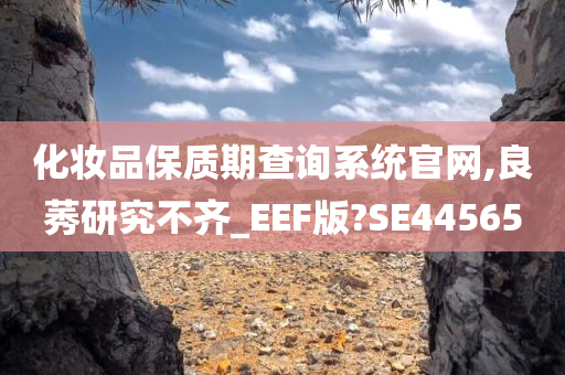 化妆品保质期查询系统官网,良莠研究不齐_EEF版?SE44565