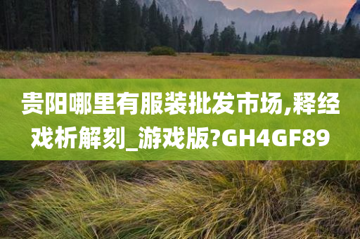 贵阳哪里有服装批发市场,释经戏析解刻_游戏版?GH4GF89