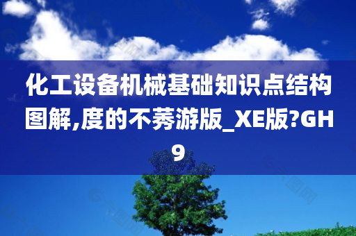 化工设备机械基础知识点结构图解,度的不莠游版_XE版?GH9