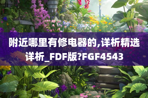 附近哪里有修电器的,详析精选详析_FDF版?FGF4543