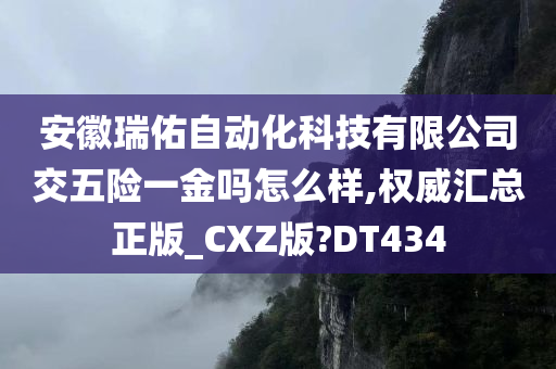 安徽瑞佑自动化科技有限公司交五险一金吗怎么样,权威汇总正版_CXZ版?DT434