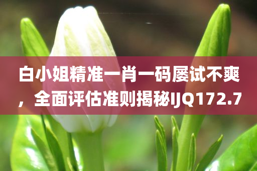 白小姐精准一肖一码屡试不爽，全面评估准则揭秘IJQ172.7