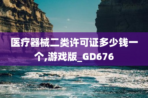 医疗器械二类许可证多少钱一个,游戏版_GD676