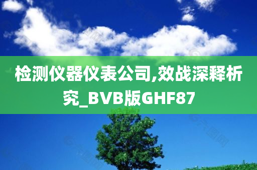 检测仪器仪表公司,效战深释析究_BVB版GHF87