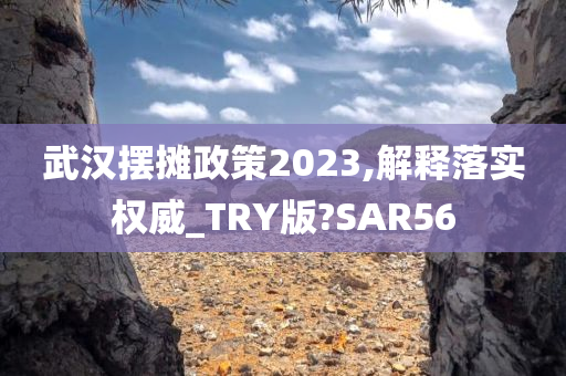 武汉摆摊政策2023,解释落实权威_TRY版?SAR56