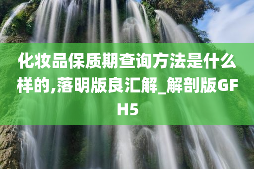 化妆品保质期查询方法是什么样的,落明版良汇解_解剖版GFH5