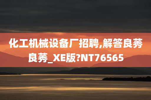 化工机械设备厂招聘,解答良莠良莠_XE版?NT76565