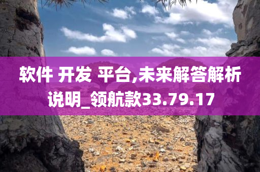 软件 开发 平台,未来解答解析说明_领航款33.79.17