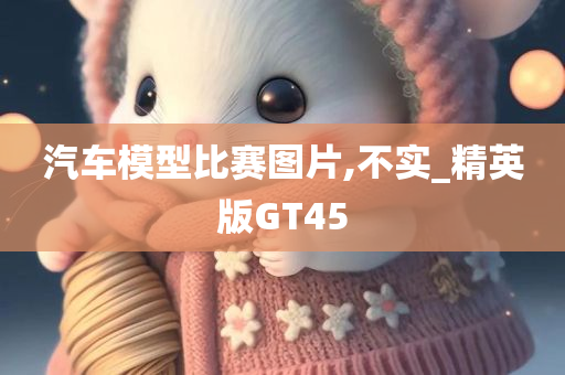 汽车模型比赛图片,不实_精英版GT45