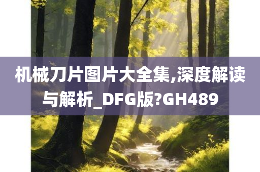 机械刀片图片大全集,深度解读与解析_DFG版?GH489