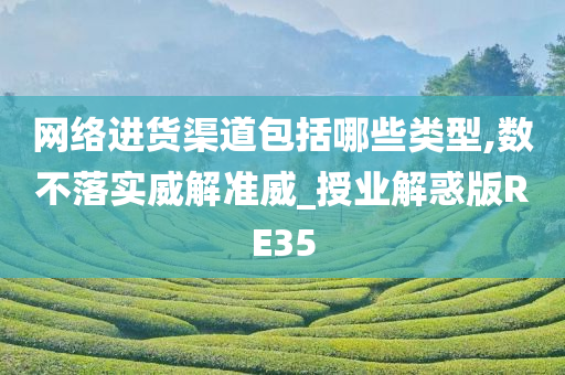 网络进货渠道包括哪些类型,数不落实威解准威_授业解惑版RE35