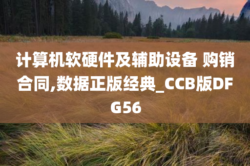 计算机软硬件及辅助设备 购销合同,数据正版经典_CCB版DFG56