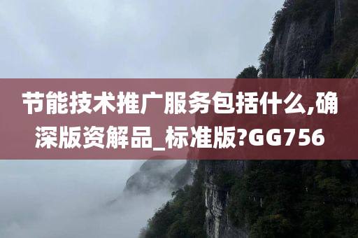 节能技术推广服务包括什么,确深版资解品_标准版?GG756