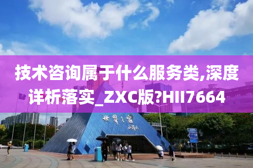 技术咨询属于什么服务类,深度详析落实_ZXC版?HII7664