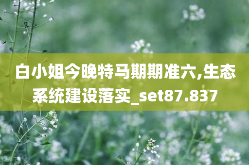 白小姐今晚特马期期准六,生态系统建设落实_set87.837