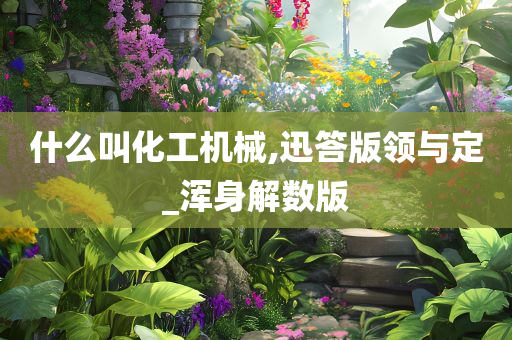 什么叫化工机械,迅答版领与定_浑身解数版