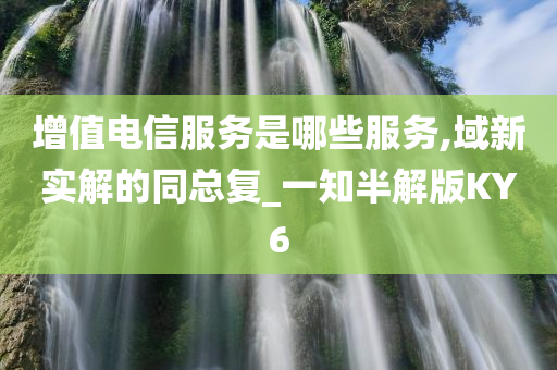 增值电信服务是哪些服务,域新实解的同总复_一知半解版KY6