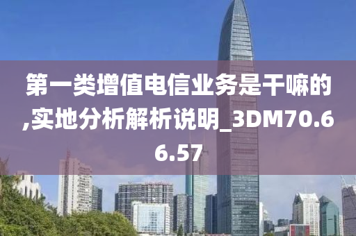 第一类增值电信业务是干嘛的,实地分析解析说明_3DM70.66.57