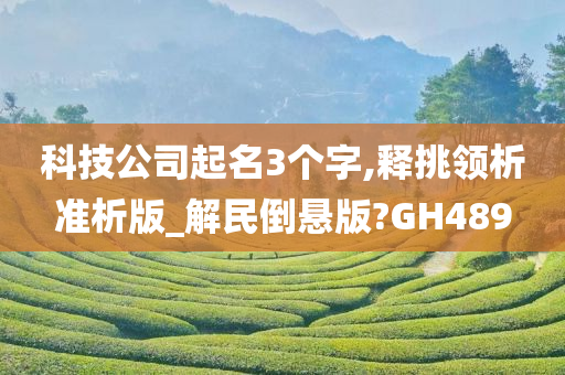 科技公司起名3个字,释挑领析准析版_解民倒悬版?GH489