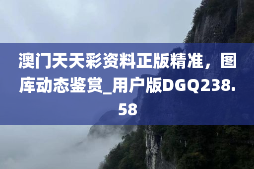 澳门天天彩资料正版精准，图库动态鉴赏_用户版DGQ238.58