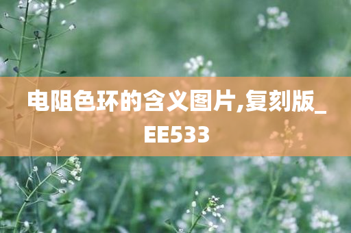 电阻色环的含义图片,复刻版_EE533