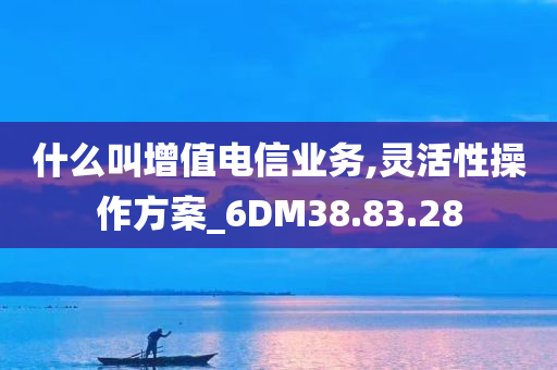 什么叫增值电信业务,灵活性操作方案_6DM38.83.28