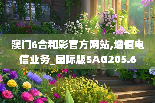 澳门6合和彩官方网站,增值电信业务_国际版SAG205.6