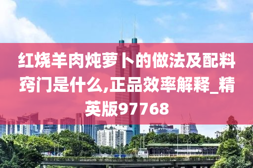 红烧羊肉炖萝卜的做法及配料窍门是什么,正品效率解释_精英版97768