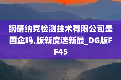 钢研纳克检测技术有限公司是国企吗,版新度选新最_DG版FF45