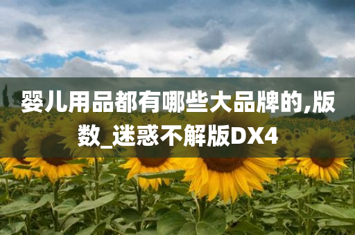 婴儿用品都有哪些大品牌的,版数_迷惑不解版DX4