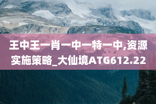 王中王一肖一中一特一中,资源实施策略_大仙境ATG612.22