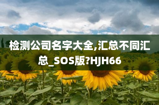 检测公司名字大全,汇总不同汇总_SOS版?HJH66